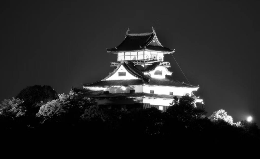 Japanese Castle Night Backdrop